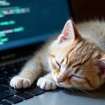 porque-e-que-os-gatos-se-sentam-nos-teclados-uma.webp.webp